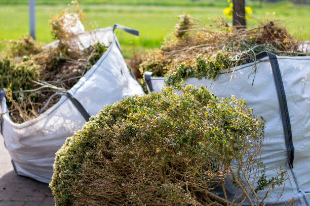 Best Commercial Junk Removal  in Tekamah, NE